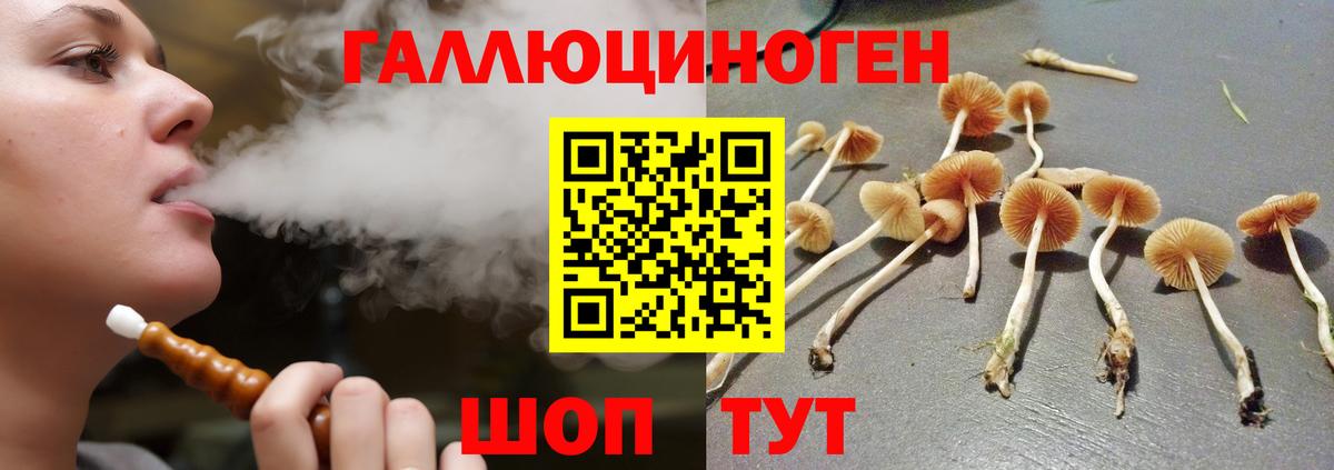 Кушва  Псилоцибиновые грибы Cubensis  Вход с VPN 